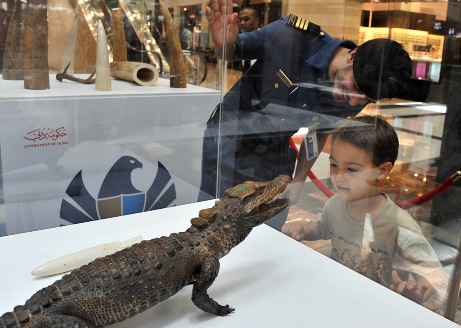 Dubai Customs organizes a training course about the CITES Convention for Customs inspectors