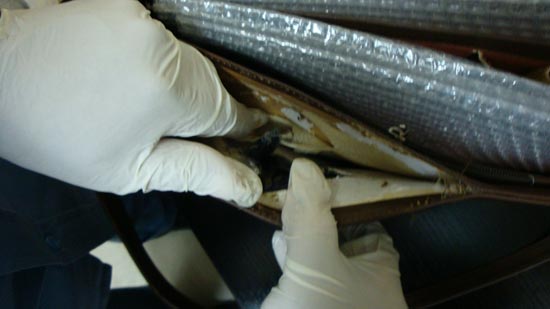 Dubai Customs Officers Seized 8kg Narco-Opium Concealed in Handbags Shipment