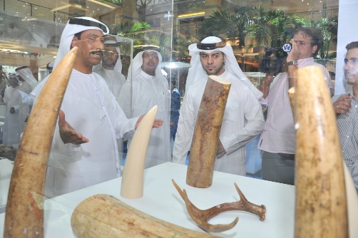 Dubai Customs launches an awareness campaign about endangered species