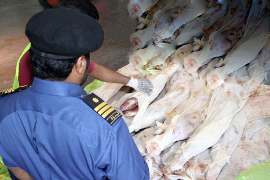  Dubai Customs bans entry of spoiled meat into local market 