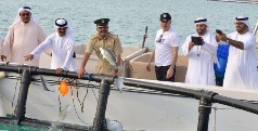 Launch of fish stock promotion program
