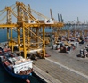 Dubai vegetable and fruit trade reaches AED 6.4bn in first half of 2013