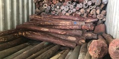 مركز جمارك جبل علي ينجز 103 ضبطية و104.7 ألف عملية تفتيش خلال الأشهر الثمانية الأولى من العام 2020