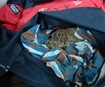 Dubai Customs foils the smuggling attempt  of 2.7kg of marijuana in a postal parcel