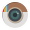 Icon Instagram